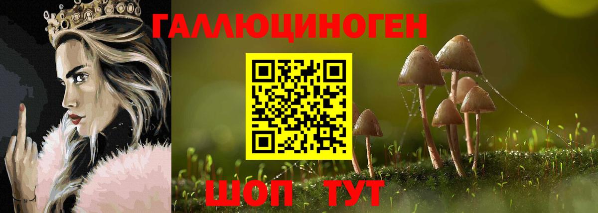 где купить наркоту  Вход с VPN  Ковров  Псилоцибиновые грибы Psilocybe  Галлюциногенные грибы Cubensis 